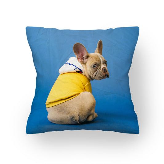  Cushions for Pets