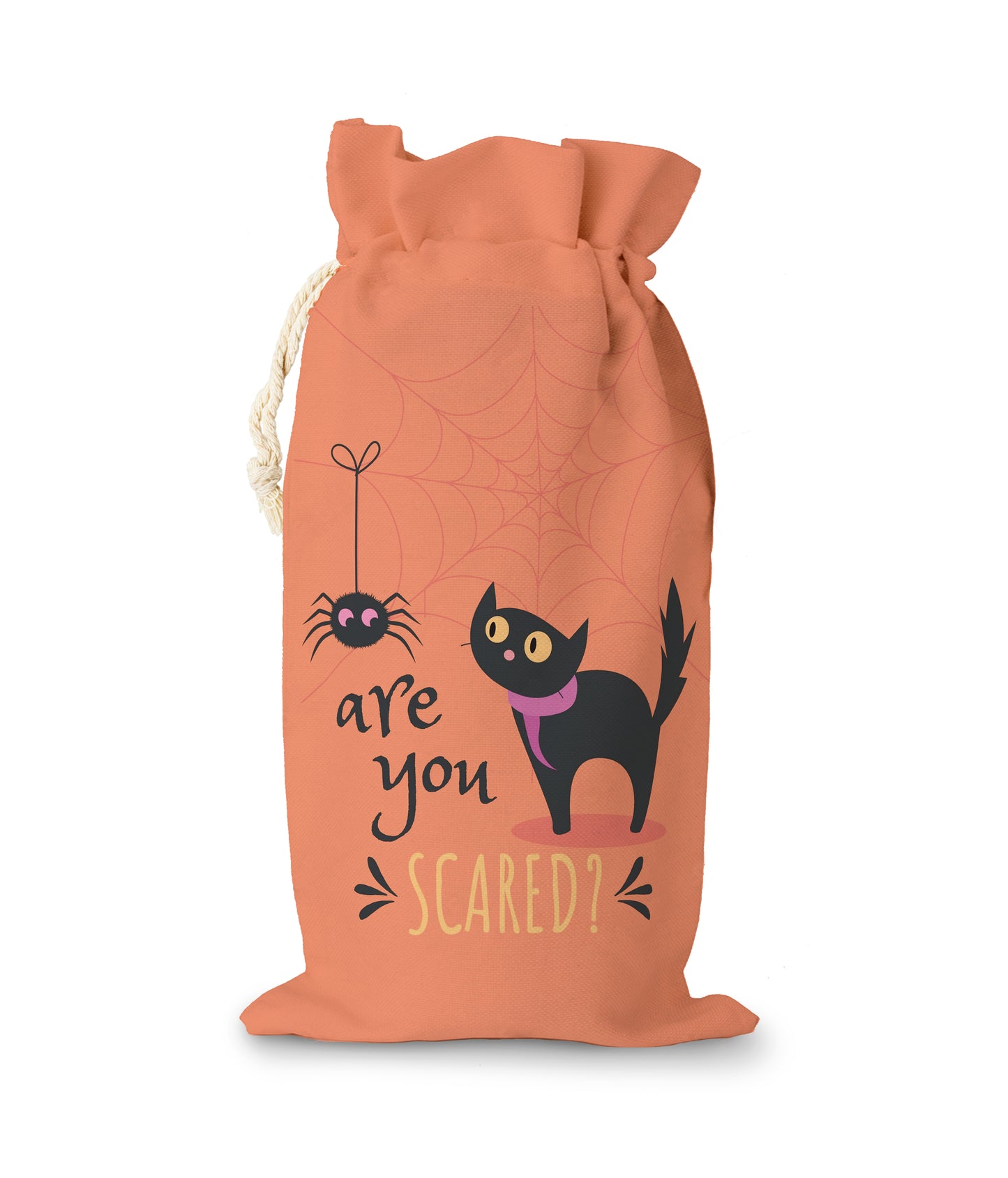 Compactable Spider And Cat Halloween Sack Orange Background. Text "are toy SCARED?"